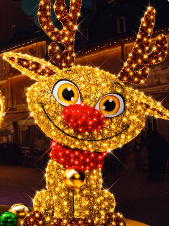Baby Rudolph