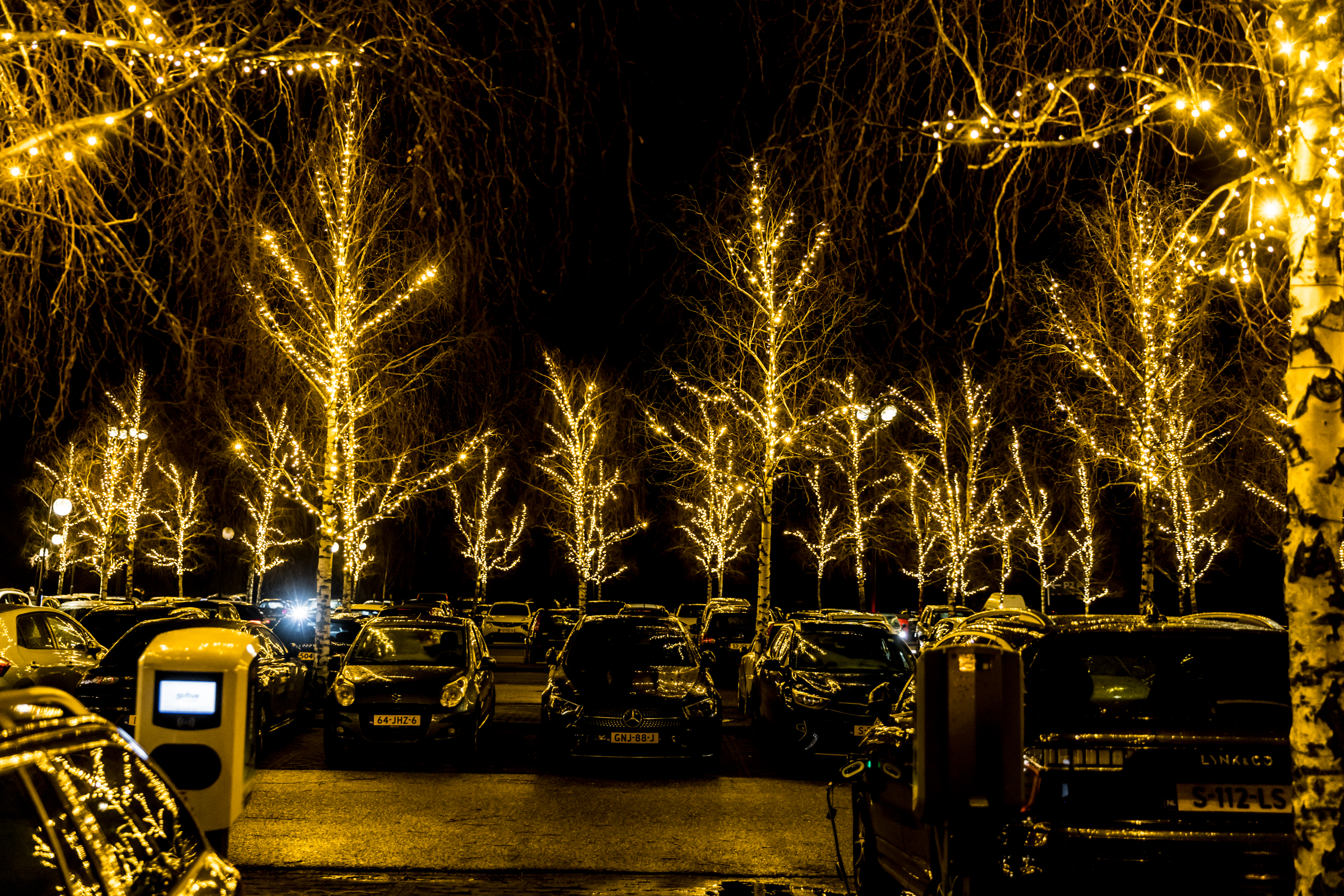 Verlichting bomen - Kerstverlichting - Snowworld Zoetermeer - De Kerstdecorateurs