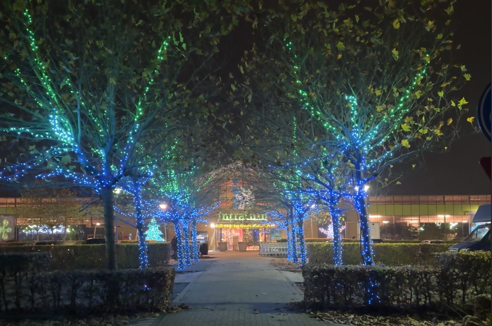 Intratuin Kerstversiering - Twinkly - verlichting buiten kerst - Tuincentra kerstversiering