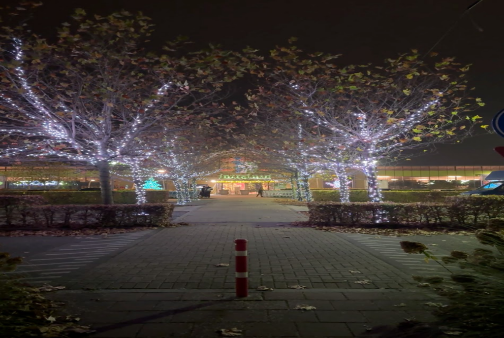 Intratuin Kerstversiering - Twinkly - verlichting buiten kerst - Tuincentra kerstversiering