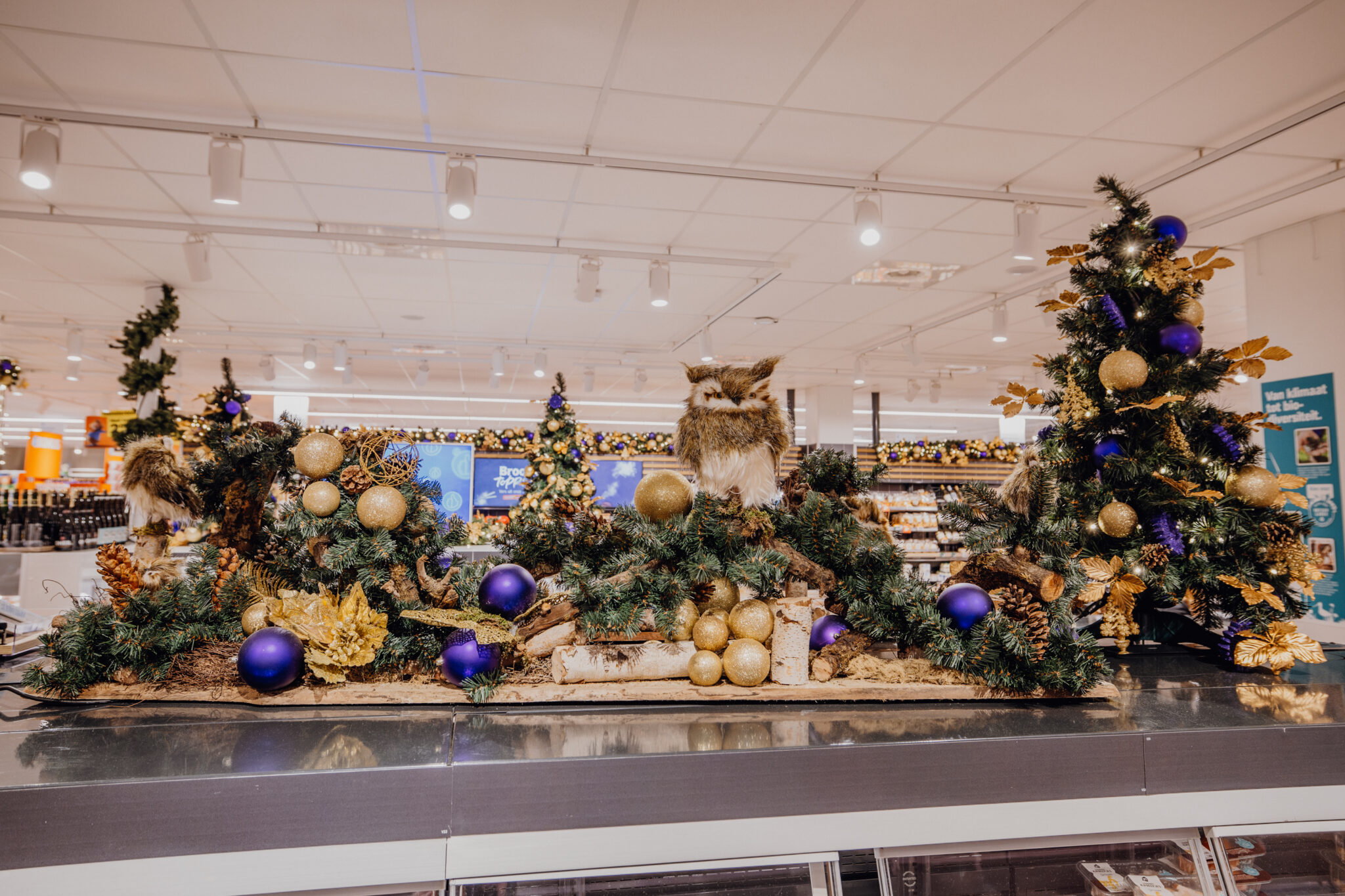 260106 dekerstdecorateurs albertheijnbergeijk mvf 21