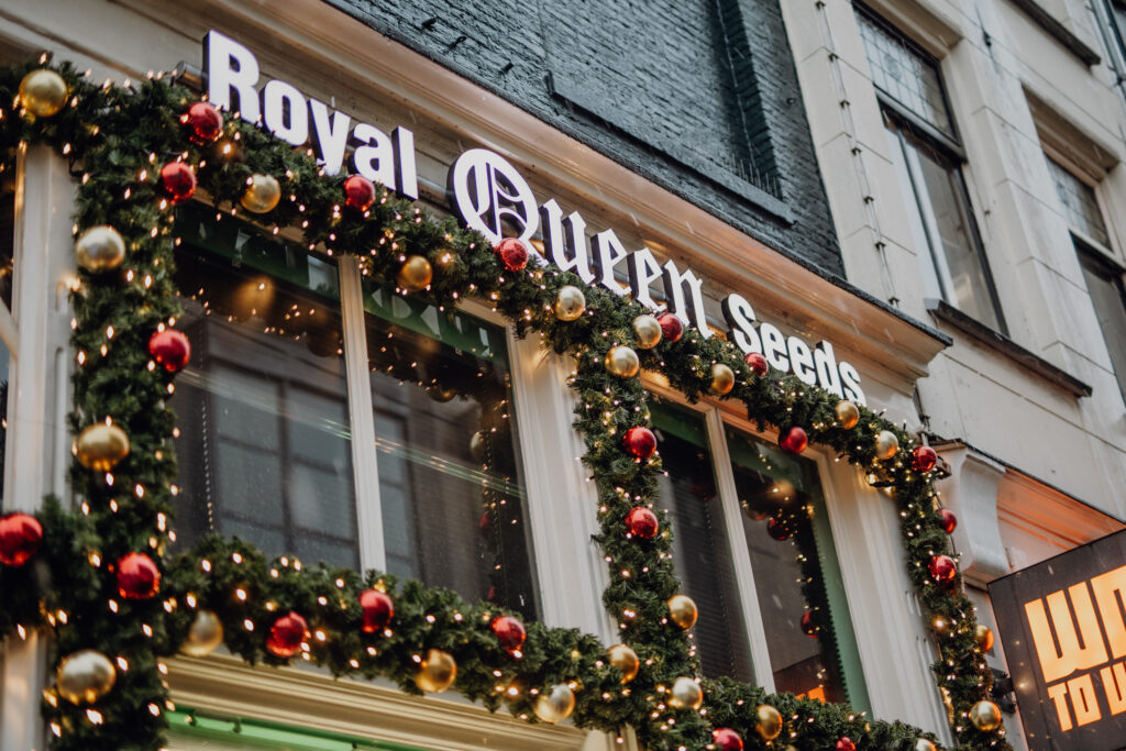 260109 dekerstdecorateurs royalqueenseeds mvf 14