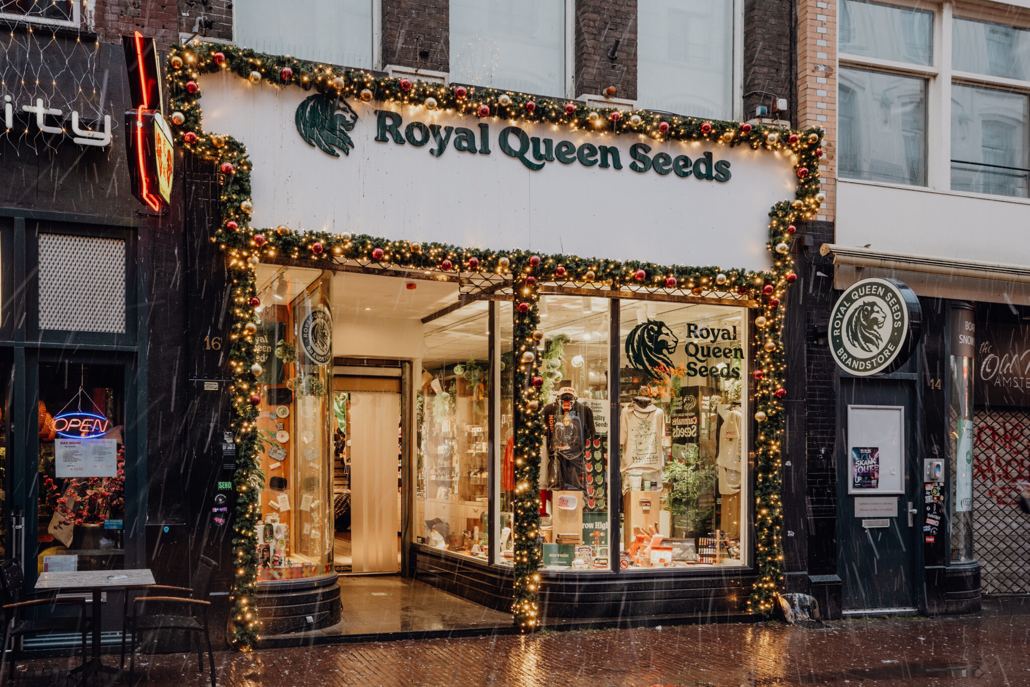 260109 dekerstdecorateurs royalqueenseeds mvf 30