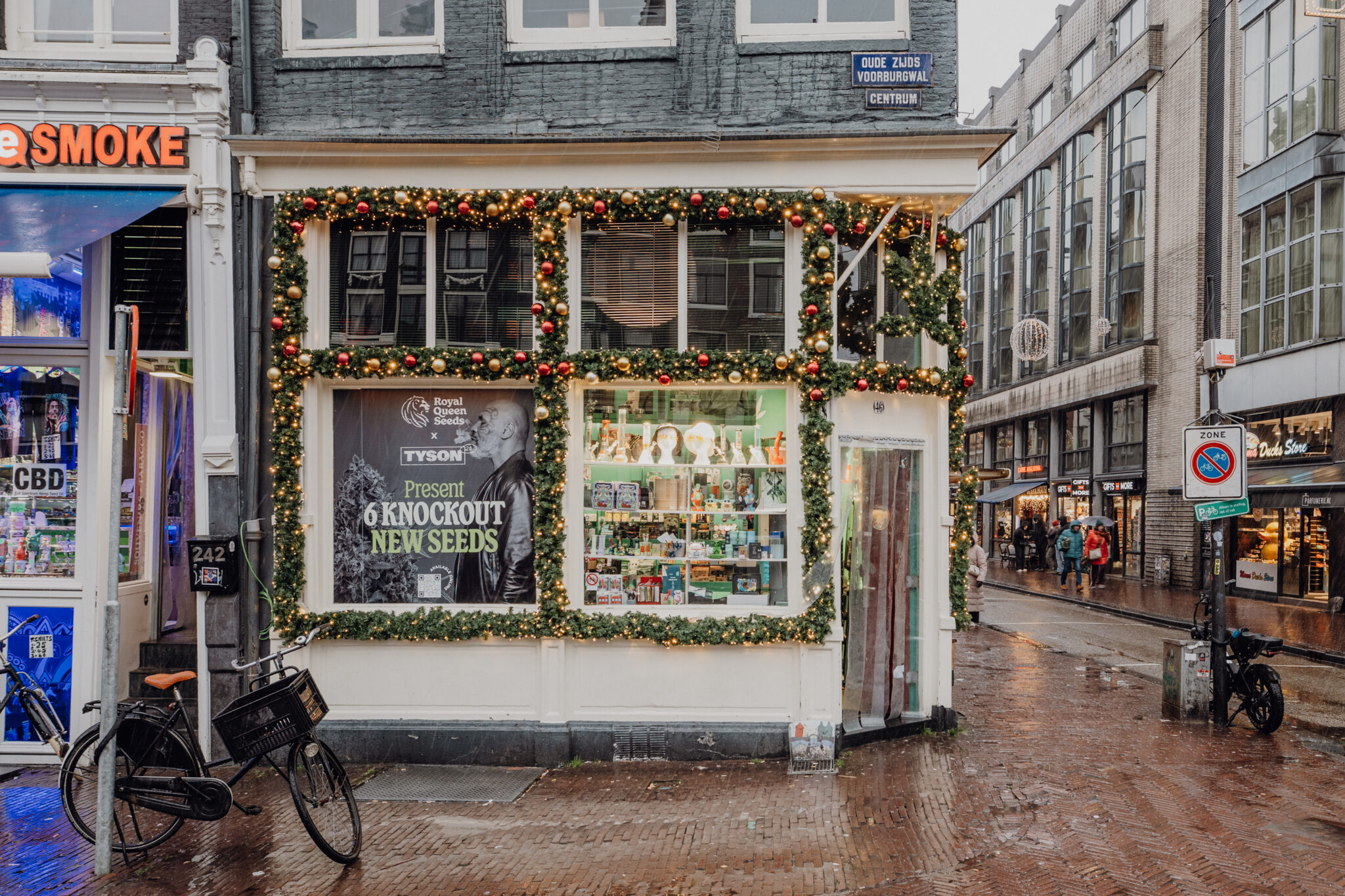 260109 dekerstdecorateurs royalqueenseeds mvf 5
