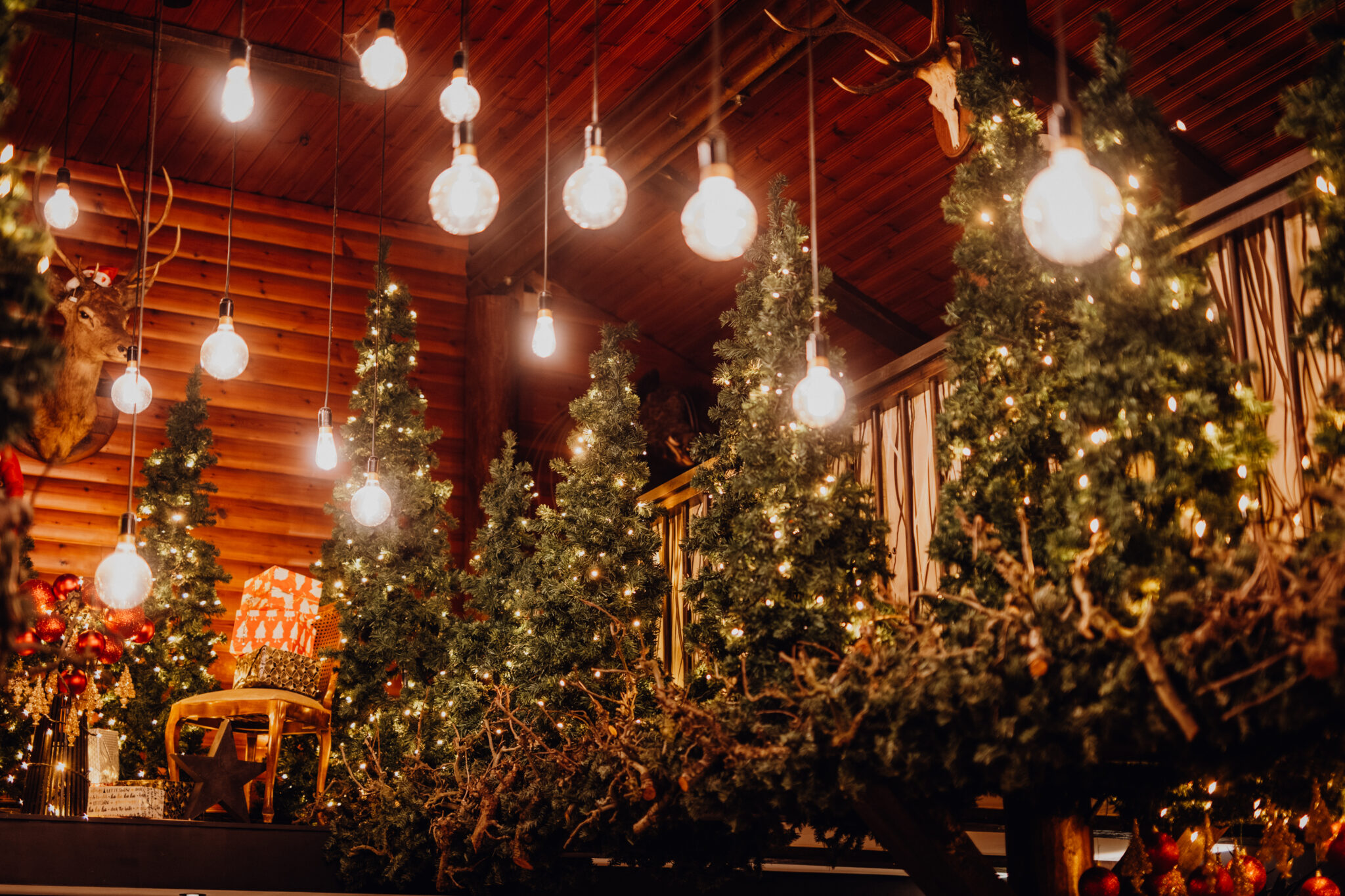 260112 dekerstdecorateurs bergscheplas mvf 64