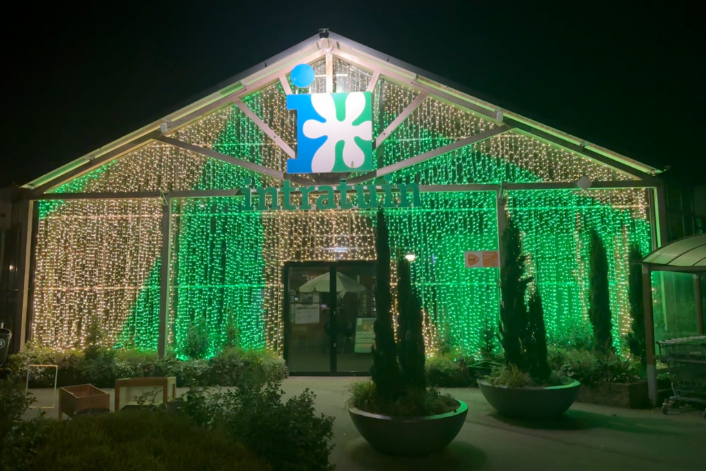 intratruin groen
